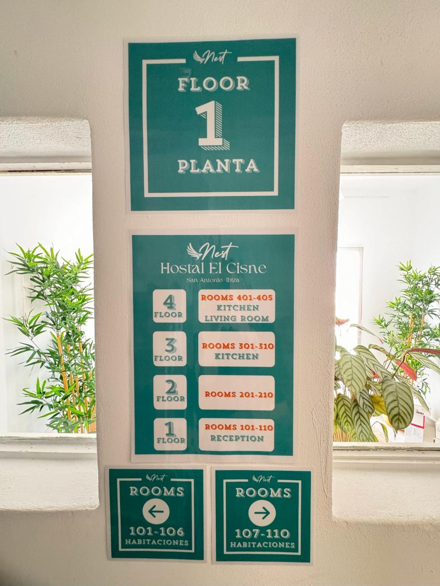 Cisne By Nest Hostel سان أنطونيو المظهر الخارجي الصورة