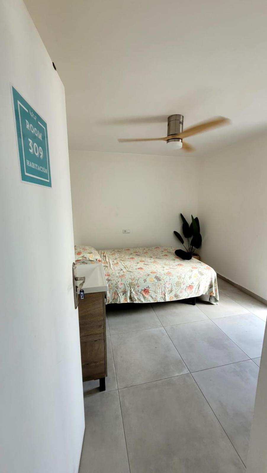 Cisne By Nest Hostel سان أنطونيو المظهر الخارجي الصورة