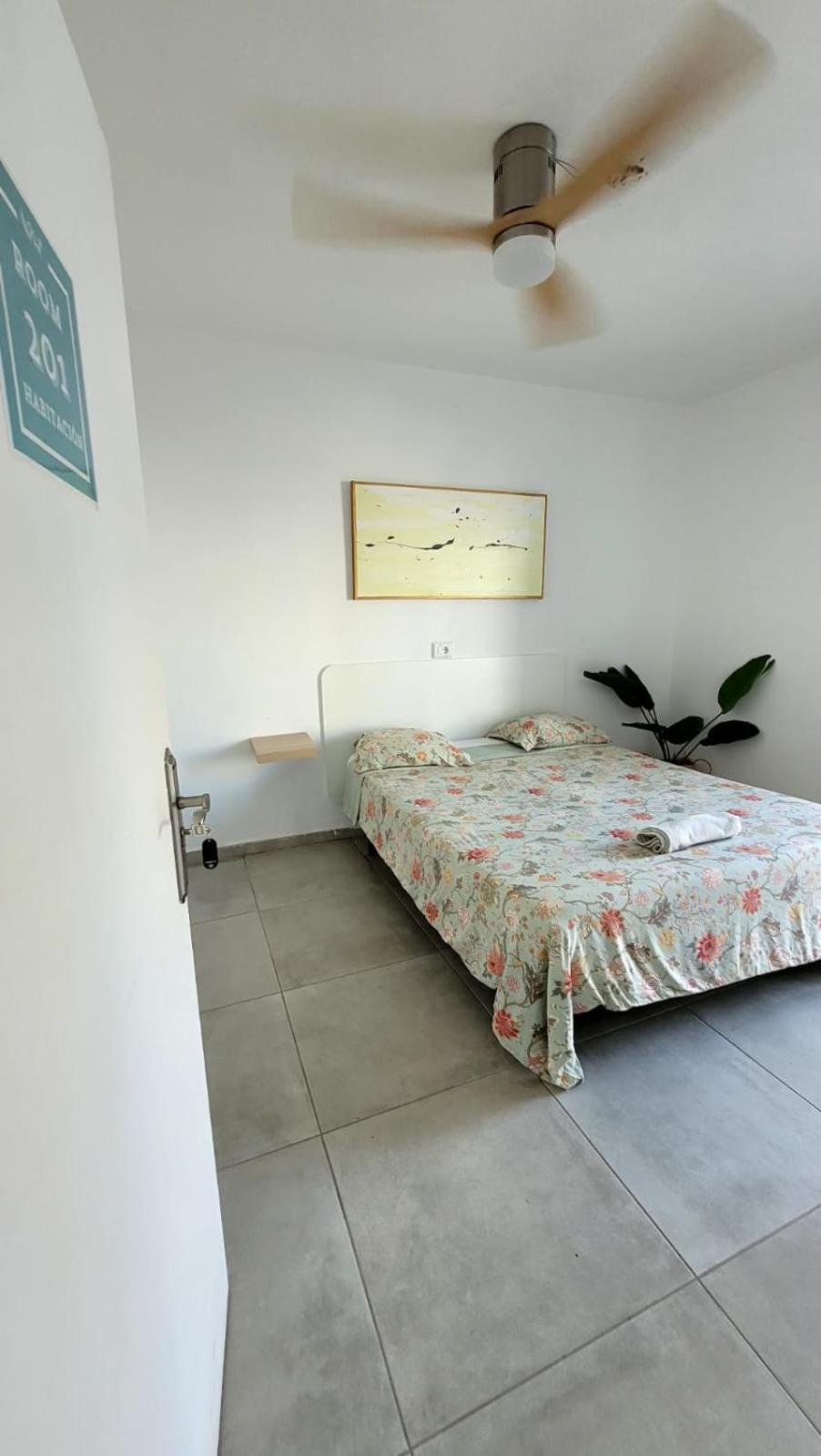 Cisne By Nest Hostel سان أنطونيو المظهر الخارجي الصورة
